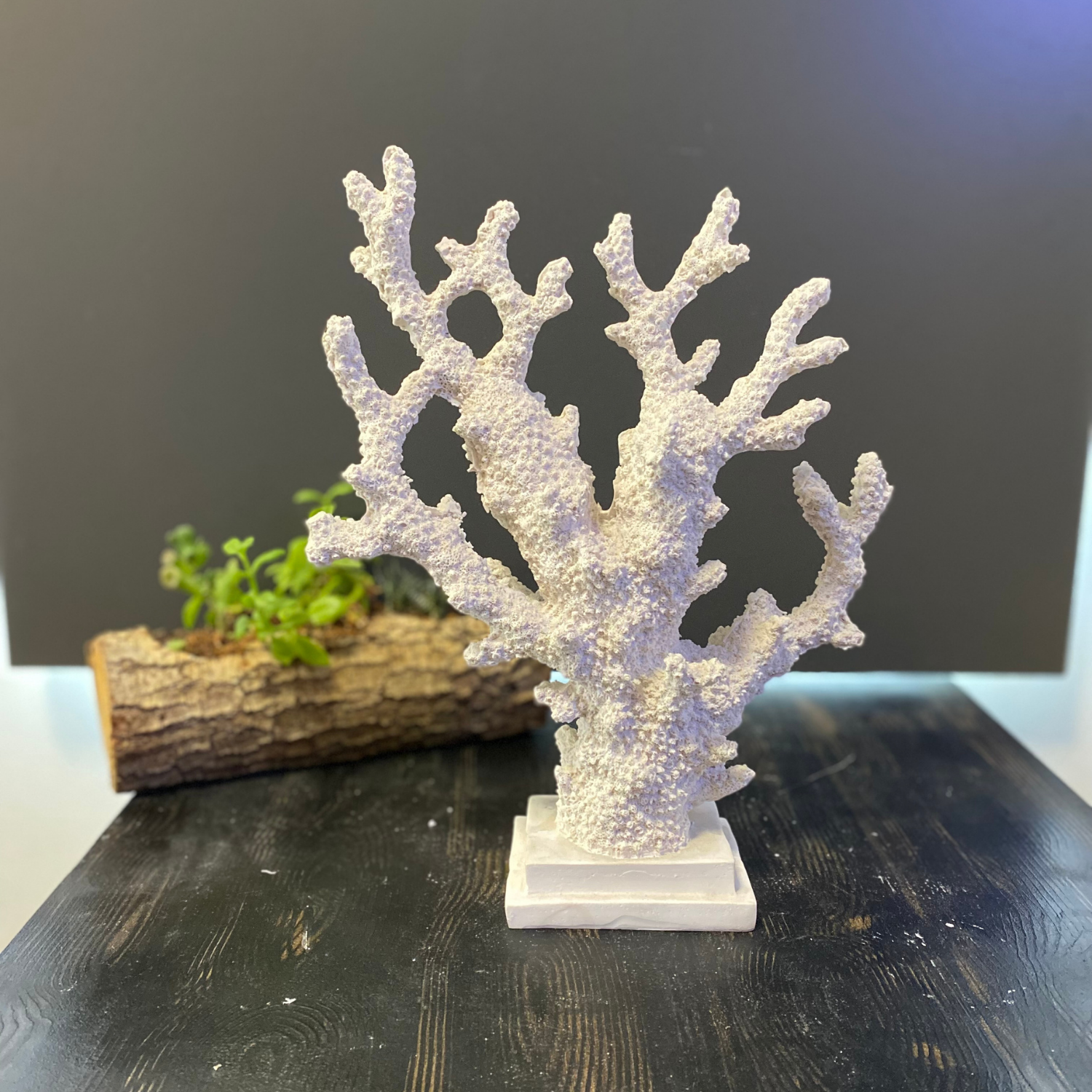 Dallı Mercan Büyük 33 X 29 cm