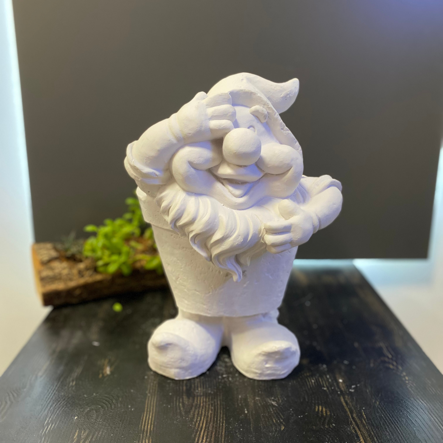 Şirin Baba Saksı Küçük