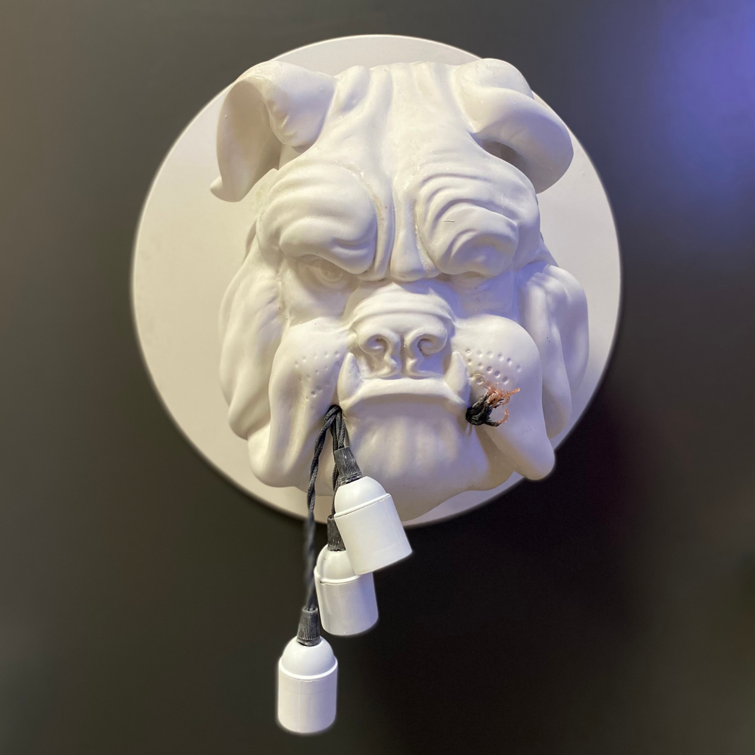 Duvar Buldog Işıklı Aydınlatma