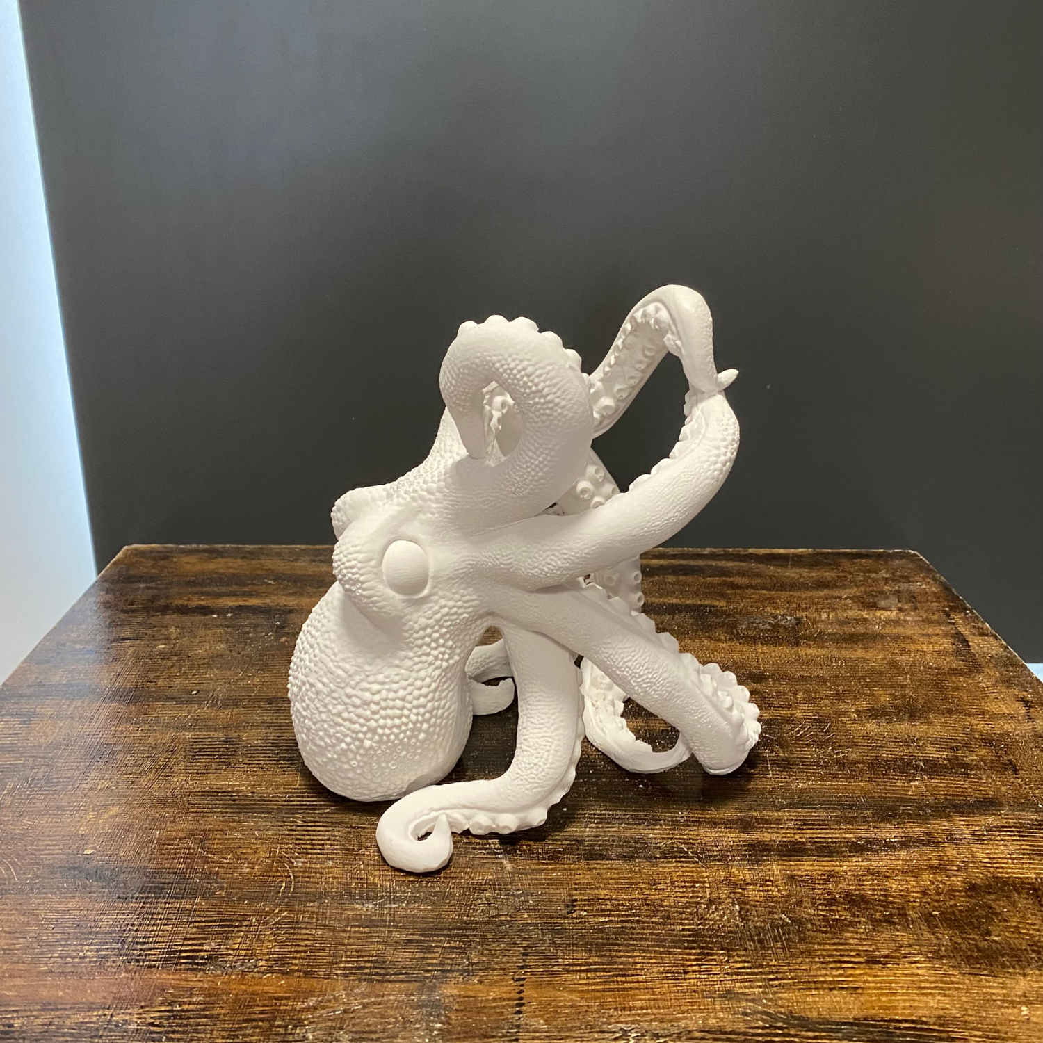 Ahtapot Şişe Tutucu Şaraplık