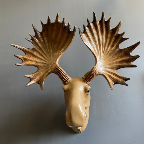 Moose Duvar Geyik