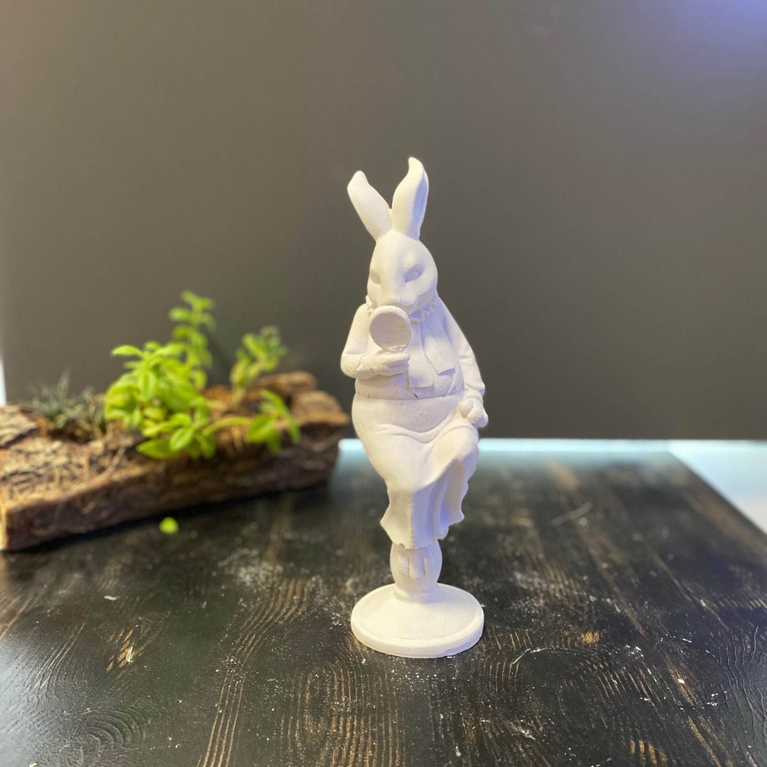 Oturan Aynalı Tavşan