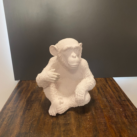 Küçük Goril Maymun