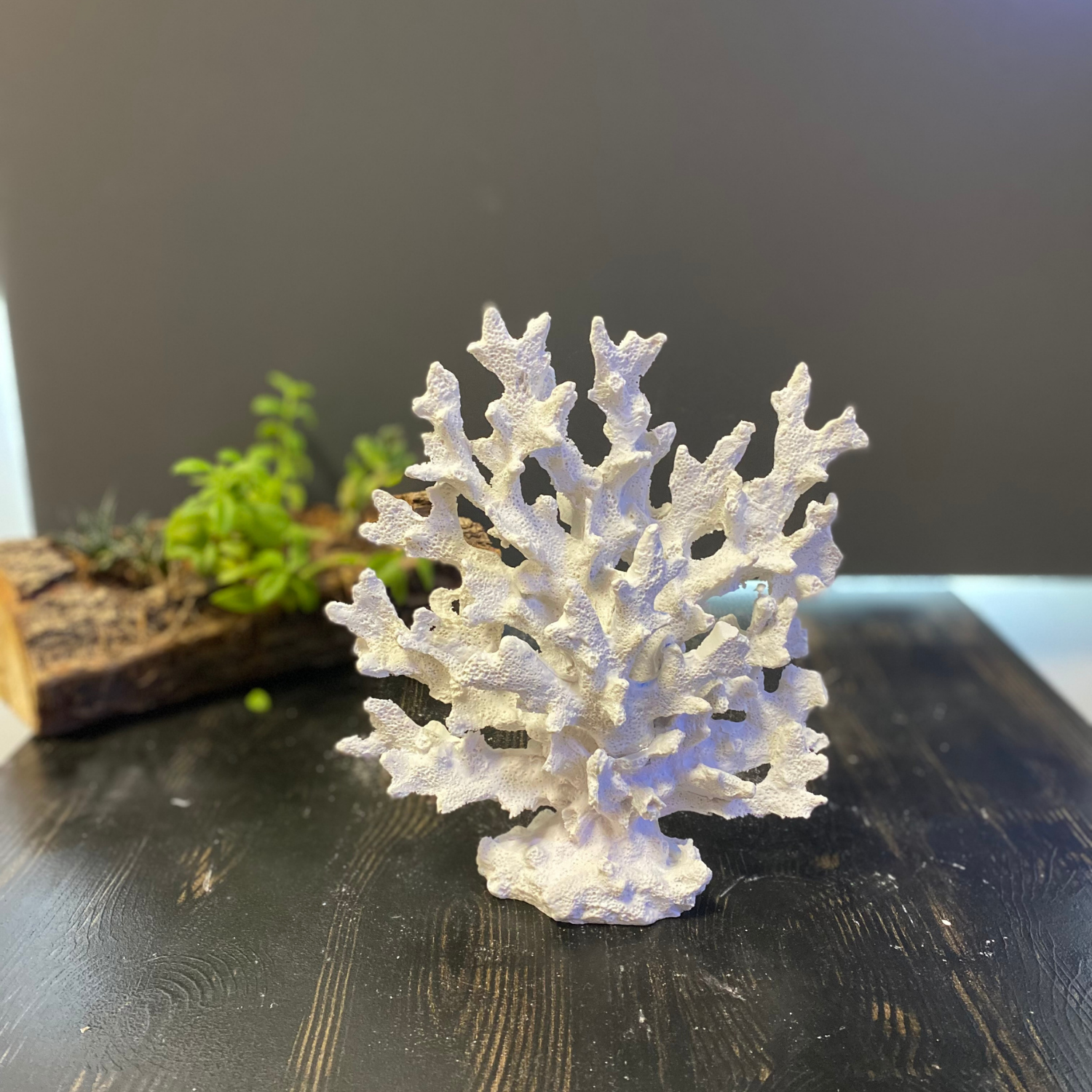 Dallı Mercan Küçük 25 X 21 cm