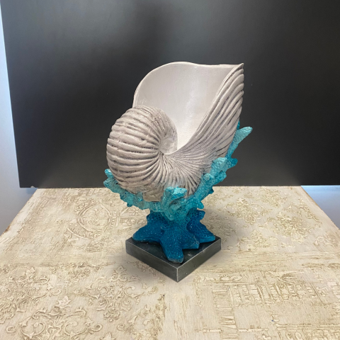 Mercan Üzeri Salyangoz Deniz Kabuğu