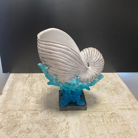 Mercan Üzeri Salyangoz Deniz Kabuğu