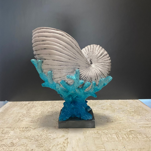 Mercan Üzeri Salyangoz Deniz Kabuğu