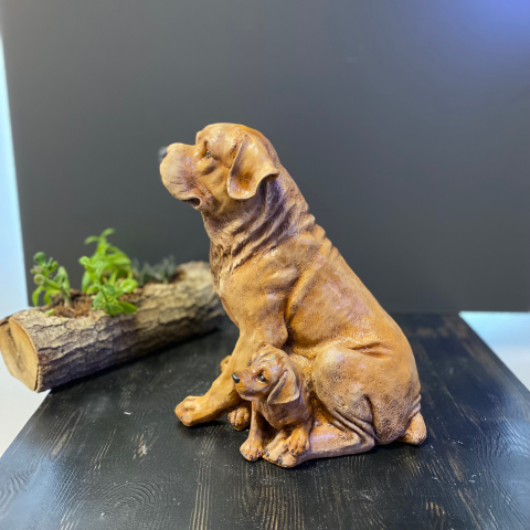 Tek Yavrulu Köpek Açık