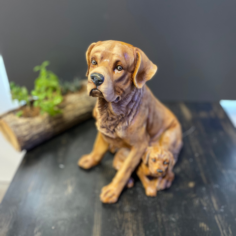 Tek Yavrulu Köpek Açık