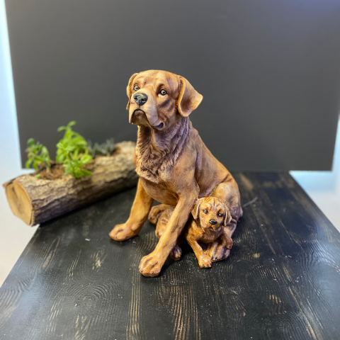 Tek Yavrulu Köpek Açık