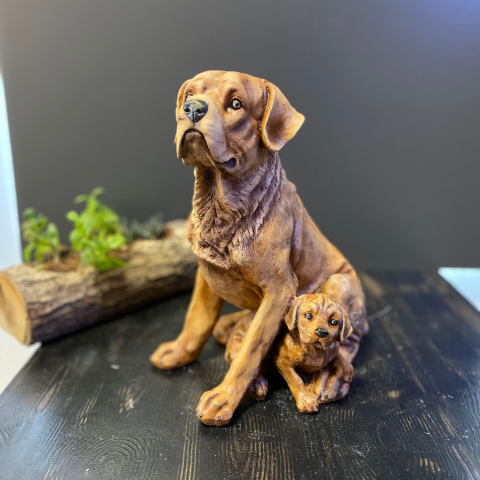 Tek Yavrulu Köpek Açık