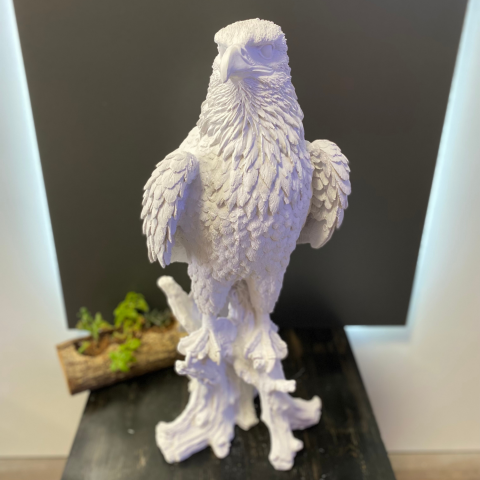 Büyük Kartal Ayakta