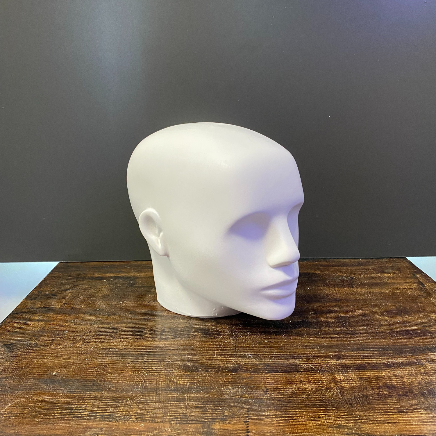 Anatomik İnsan Kafası Büst Ham Polyester