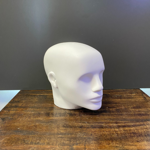 Anatomik İnsan Kafası Büst Ham Polyester