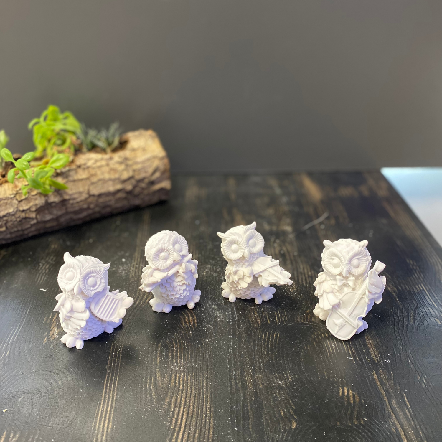 4'lü Müzisyen Baykuş