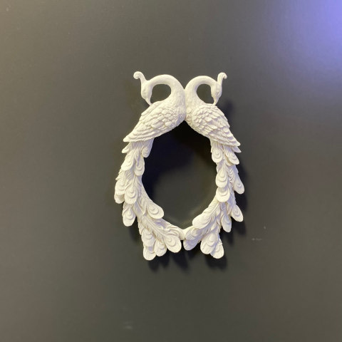 Tavus Kuşu Çerçeve