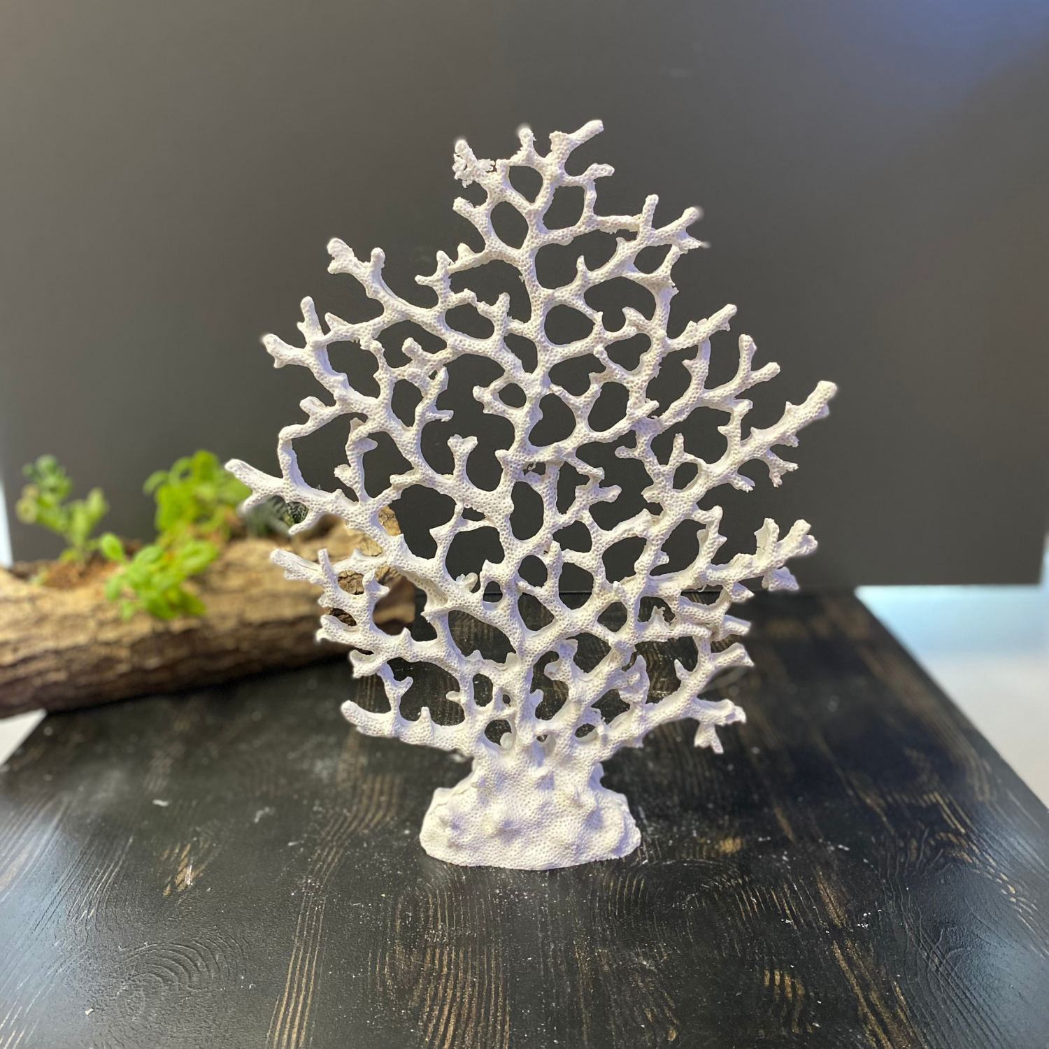 Desenli Mercan 31x26 cm