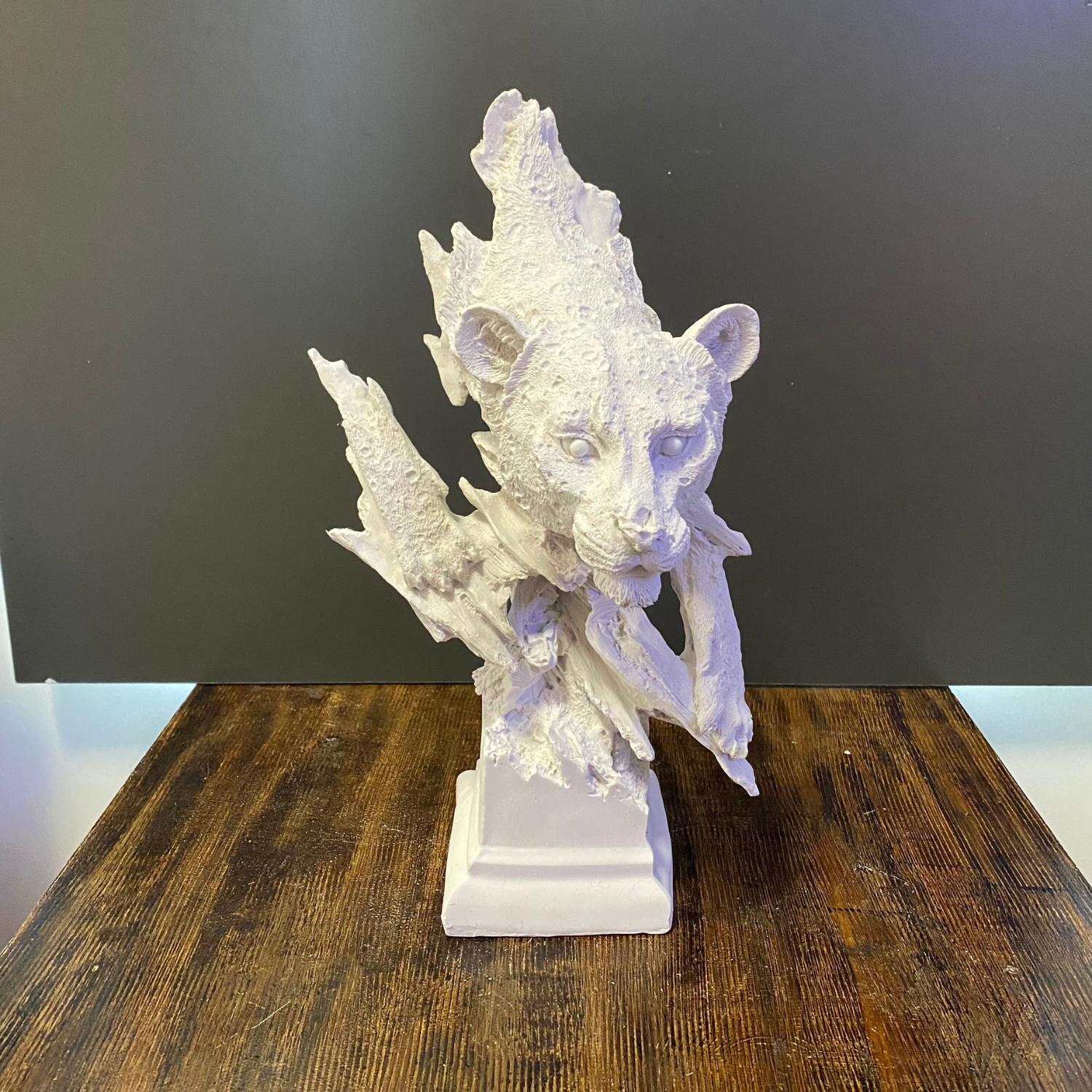 Kaideli Leopar Büst Ham Polyester