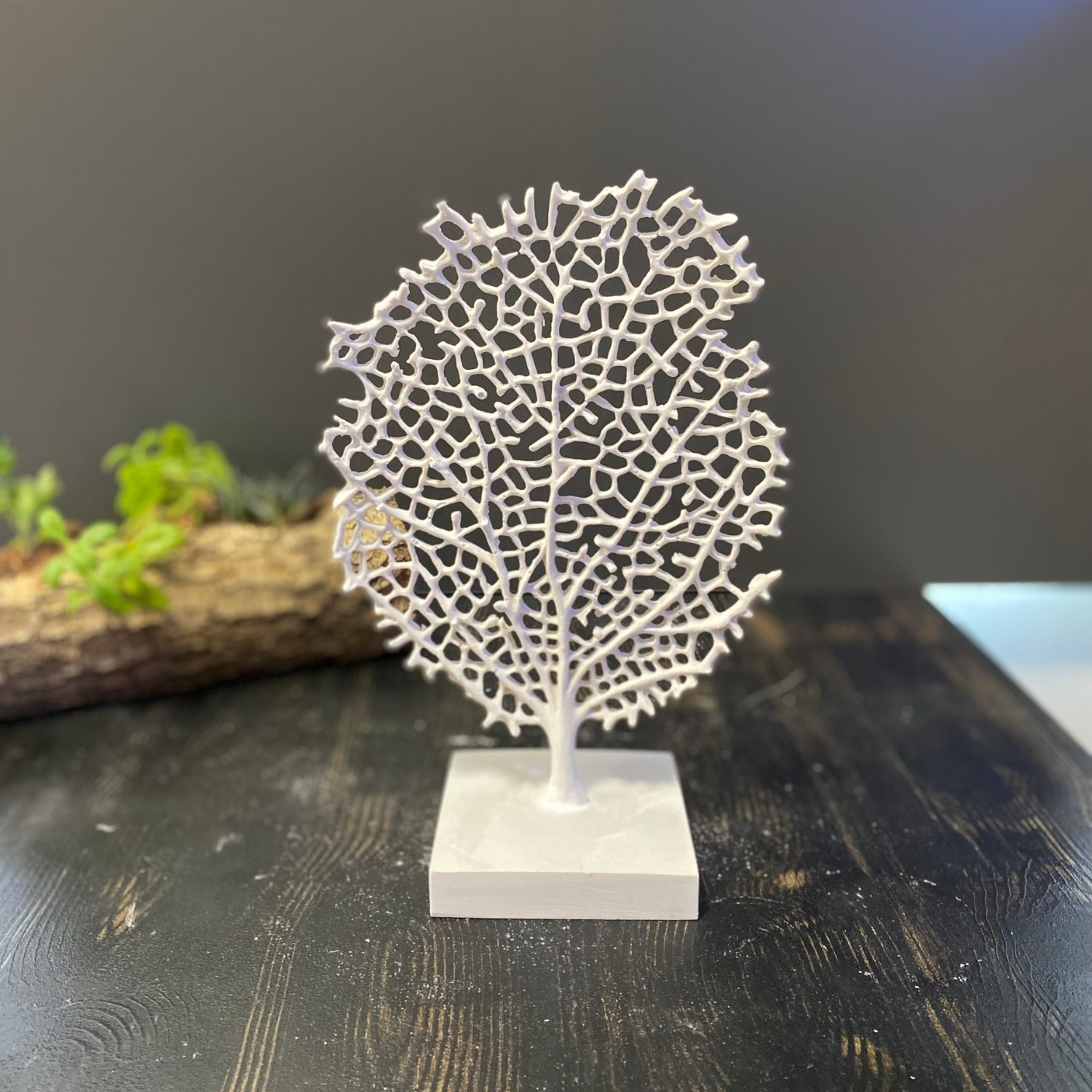 Kaideli Mercan Detaylı Montajlı