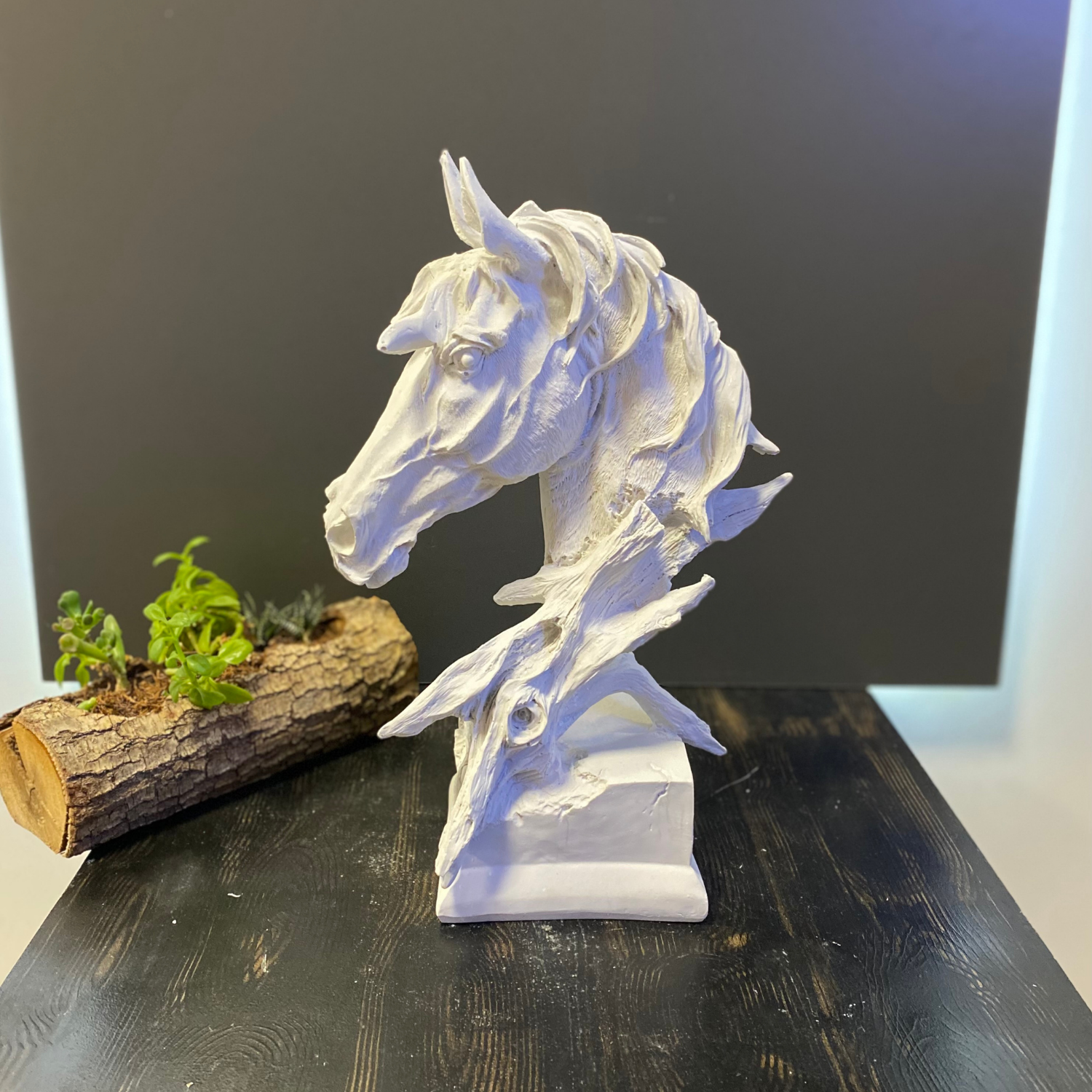 At Başı Büst Soyut