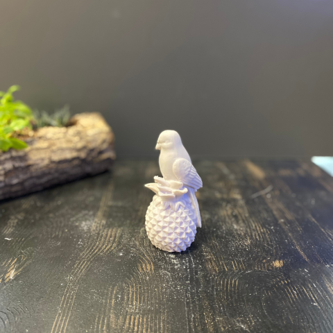 Ananas Üzeri Küçük Kuş